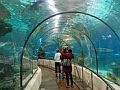 Aquarium-Tiqets