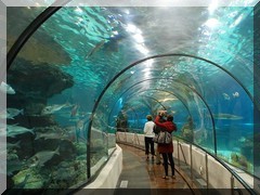Aquarium in Barcelona
